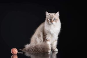 5DE6A02B 58A3 4B21 A12B AD69F75D2419